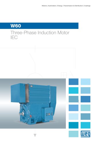 W60 Three-Phase Induction Motor - IEC