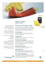 Lifebuoy Lights L160