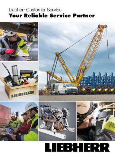 Customer service for crawler cranes and foundation machines