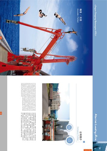 jiangsu changlong technologies(CCL)