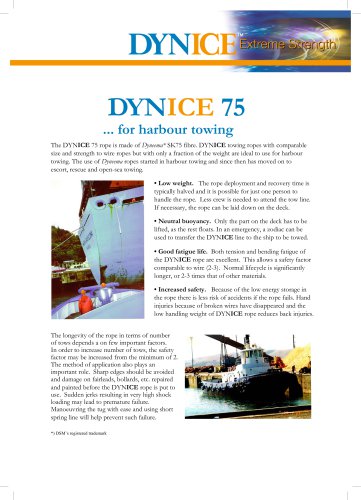 DYNICE 75 ... for harbour towing