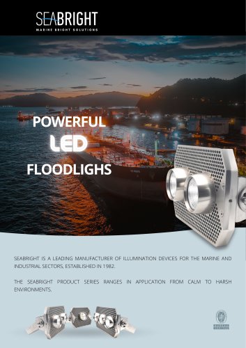 POWERFUL LED FLOODLIGHS