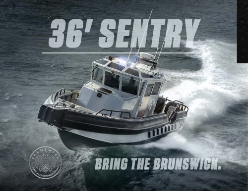 36' SENTRY