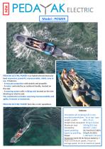 PEDAYAK ELECTRIC POWER