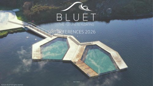 Bluet References 